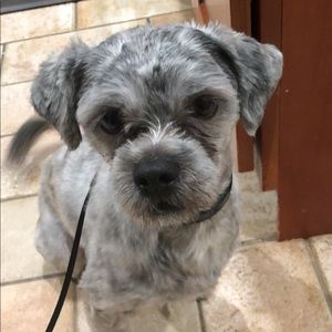 Meet your Posher, Mercedes